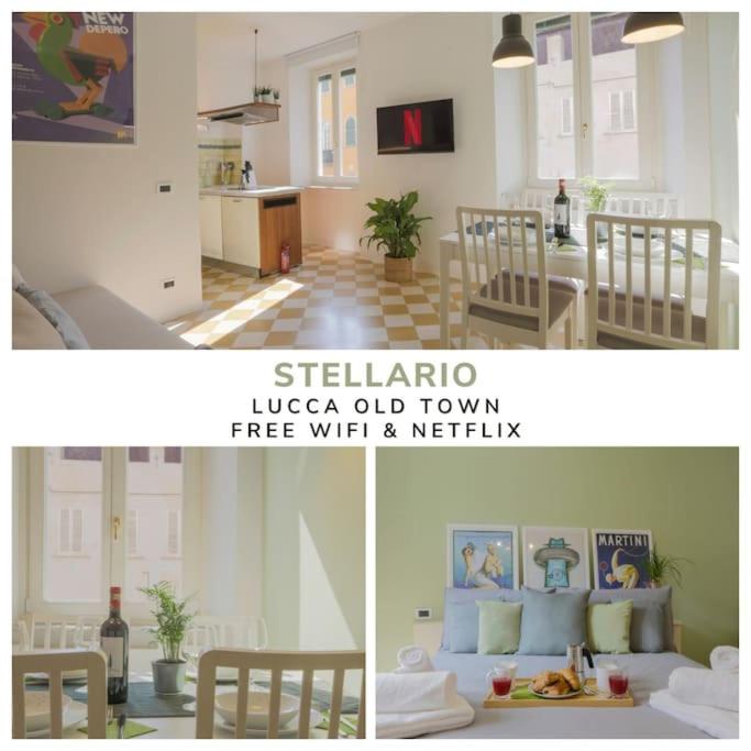 [Lucca Old Town] *Stellario* Free Netflix Wi-fi – Lucca